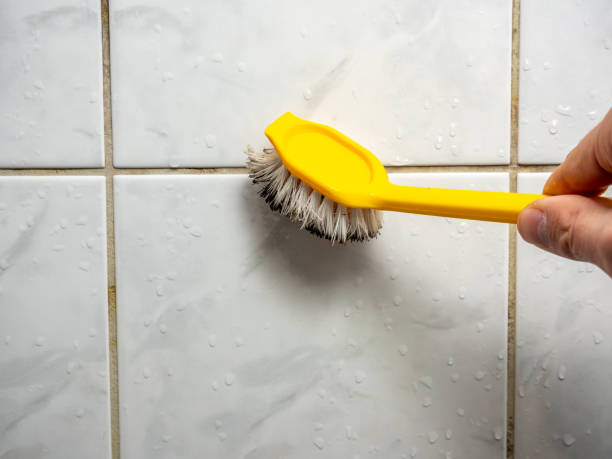 Best Residential Mold Remediation in Osseo, MN